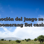 La emoción del juego se eleva en Boomerang Bet casino es