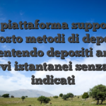 La piattaforma supporta piuttosto metodi di deposito, consentendo depositi ancora prelievi istantanei senza costi indicati