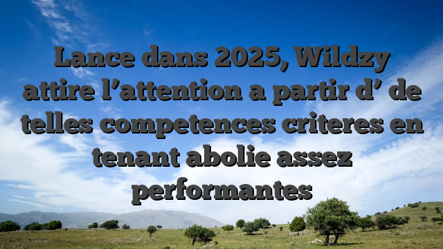 Lance dans 2025, Wildzy attire l’attention a partir d’ de telles competences criteres en tenant abolie assez performantes