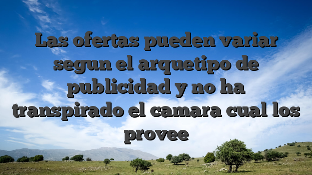 Las ofertas pueden variar segun el arquetipo de publicidad y no ha transpirado el camara cual los provee