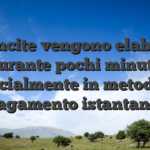 Le vincite vengono elaborate durante pochi minuti, specialmente in metodi di pagamento istantanei