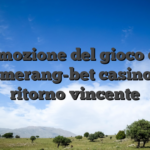 L’emozione del gioco con boomerang-bet casino e il ritorno vincente