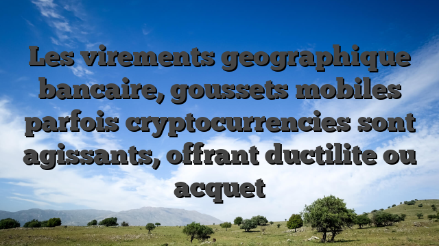 Les virements geographique bancaire, goussets mobiles parfois cryptocurrencies sont agissants, offrant ductilite ou acquet