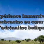L’expérience immersive de touchcasino au cœur de l’adrénaline ludique