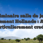 Liminaire salle de jeu legerement Hollande : Au top 15 particulierement credibles