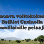 Lumoava voittokokemus BetRiot Casinolla Suomiilaisille pelaajille