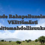 Lähde Rahapeliunelmiin Välittömästi Voittomahdollisuuksin