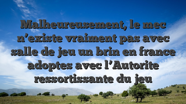 Malheureusement, le mec n’existe vraiment pas avec salle de jeu un brin en france adoptes avec l’Autorite ressortissante du jeu