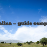 Malina — guide complet