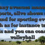 Many avenues manage esports, alive shows are around for sporting events such as for instance table tennis and you can coastline volleyball