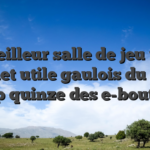 Meilleur salle de jeu un tantinet utile gaulois du 2025 : Au top quinze des e-boutiques