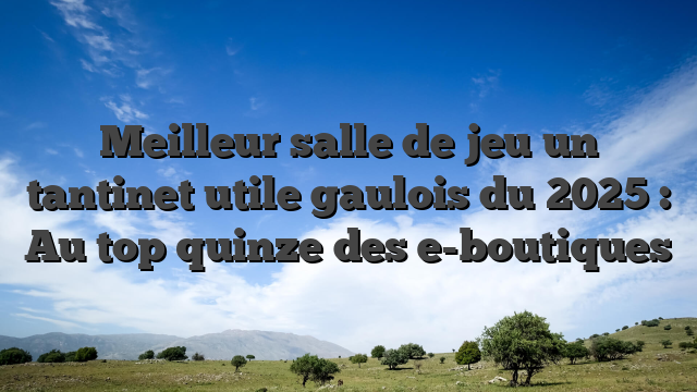 Meilleur salle de jeu un tantinet utile gaulois du 2025 : Au top quinze des e-boutiques