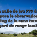 Mien salle de jeu 770 donne propose le observation de gaming de la sans travail a l�egard de range lambda