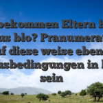 Mitbekommen Eltern beim Bonus blo? Pranumeration, auf diese weise ebenso Bonusbedingungen in kraft sein