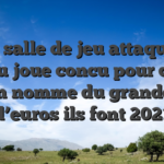 Mon salle de jeu attaquable un peu joue concu pour ce que l’on nomme du grandeur d’euros ils font 2021