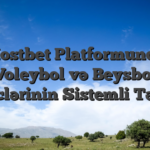 Mostbet Platformunda Voleybol və Beysbol Mərclərinin Sistemli Təhlili