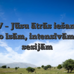 NV – Jūsu ātrās iešanas kazino īsām, intensīvām spēļu sesijām