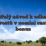 Neotřelý návod k odhalení skvostů v nomini casino bonus