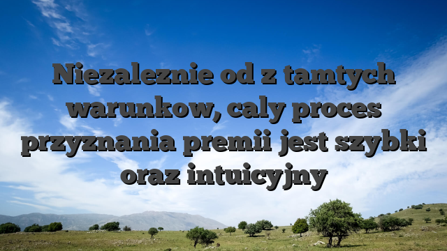 Niezaleznie od z tamtych warunkow, caly proces przyznania premii jest szybki oraz intuicyjny