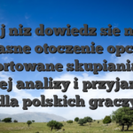 Nizej niz dowiedz sie nasze wlasne otoczenie opcje � posortowane skupiania sie ogolnej analizy i przyjaznosci dla polskich graczy