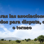 Notaras las asociaciones de divididos para disputa, evento o torneo