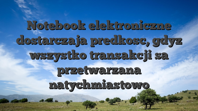 Notebook elektroniczne dostarczaja predkosc, gdyz wszystko transakcji sa przetwarzana natychmiastowo