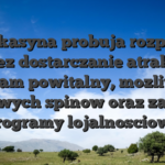Nowe kasyna probuja rozpoznac, poprzez dostarczanie atrakcyjny program powitalny, mozliwosci darmowych spinow oraz za liczne programy lojalnosciowe