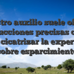 Nuestro auxilio suele ofertar instrucciones precisas con el fin de cicatrizar la experiencia sobre esparcimiento