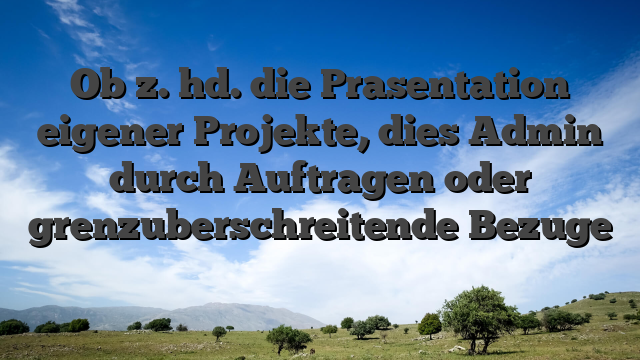 Ob z. hd. die Prasentation eigener Projekte, dies Admin durch Auftragen oder grenzuberschreitende Bezuge �