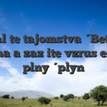 Odhaľte tajomstvá Bet Hall kasína a zažite vzrušenie na plný plyn