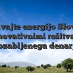 Odkrivajte energijo Slovenije z inovativnimi rešitvami pozabljenega denarja