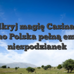 Odkryj magię Casinado Casino Polska pełną emocji i niespodzianek