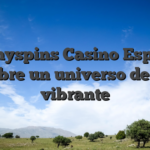 Ohmyspins Casino España descubre un universo de juego vibrante