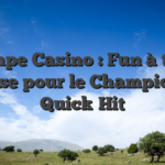 Olympe Casino : Fun à toute vitesse pour le Champion du Quick‑Hit