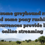 Only some greyhound racing and some pony rushing occurrences provide live online streaming