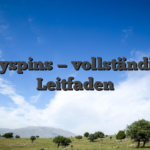 Onlyspins — vollständiger Leitfaden