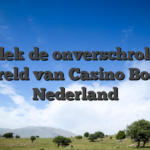 Ontdek de onverschrokken wereld van Casino Bossy Nederland