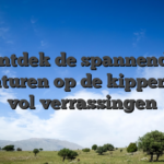 Ontdek de spannende avonturen op de kippenweg vol verrassingen