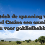Ontdek de spanning van Cashed Casino een onmisbare gids voor gokliefhebbers