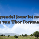 Ontgrendel jouw lot met de login van Thor Fortune4793