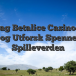 Oppdag Betalice Casino Logg Inn og Utforsk Spennende Spilleverden