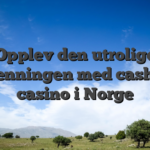 Opplev den utrolige spenningen med cashed casino i Norge