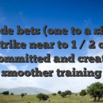 Outside bets (one to a single) strike near to 1 / 2 of committed and create smoother training
