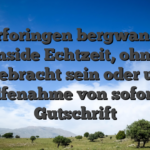 Overforingen bergwandern inside Echtzeit, ohne Angebracht sein oder unter zuhilfenahme von sofortiger Gutschrift