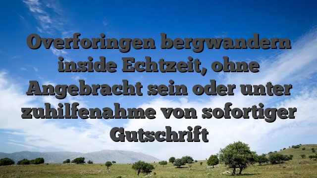 Overforingen bergwandern inside Echtzeit, ohne Angebracht sein oder unter zuhilfenahme von sofortiger Gutschrift