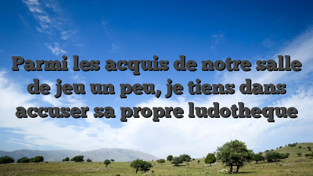Parmi les acquis de notre salle de jeu un peu, je tiens dans accuser sa propre ludotheque