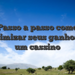 Passo a passo como maximizar seus ganhos em um cassino