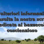 Per ulteriori informazioni, consulta la nostra scritto dedicata al bazzecola coscienzioso