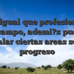 Pero, igual que profesional en el campo, ademi?s puedo senalar ciertas areas sobre progreso