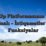Pin Up Platformasının Tam İcmalı – İstiqamətlər və Funksiyalar